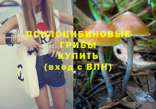 синтетический гашиш Верхний Тагил